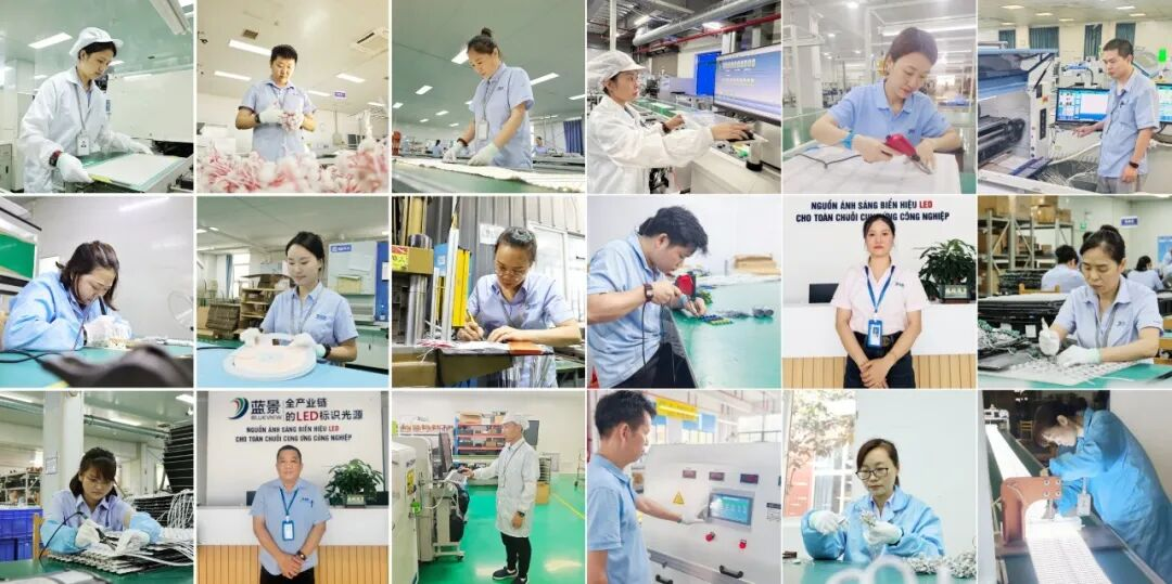 礼赞追光者|蓝景第二届2026五一“最美劳动者”投票通道开启！