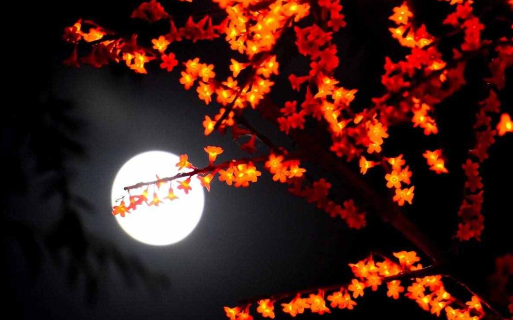  双节同庆月更圆，蓝景杯第二届中秋征文活动优秀来稿作品展播!